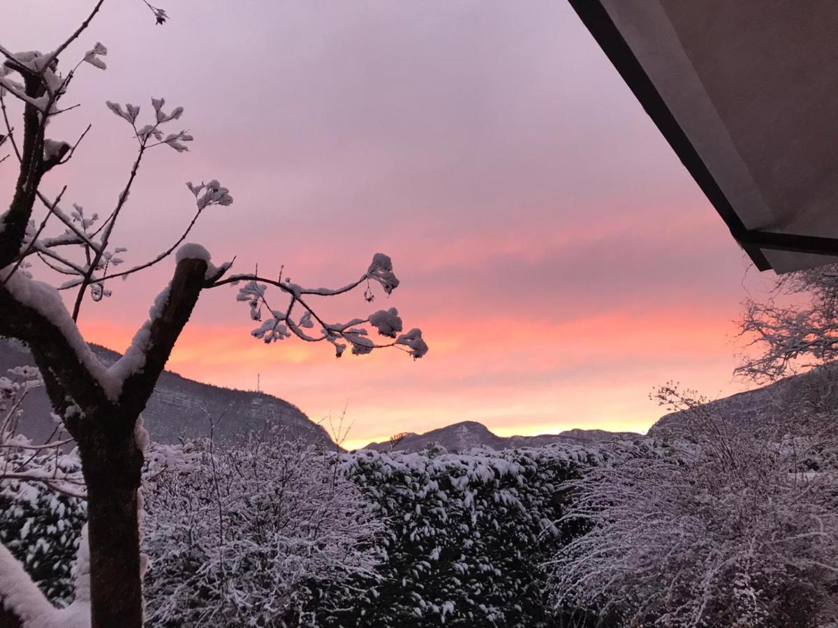 El Campizol Lägenhet Drena Exteriör bild